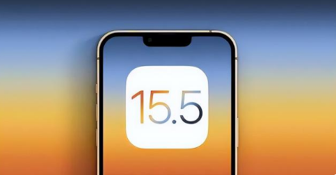 肥东苹果手机维修分享iOS15.5 RC版升级建议 